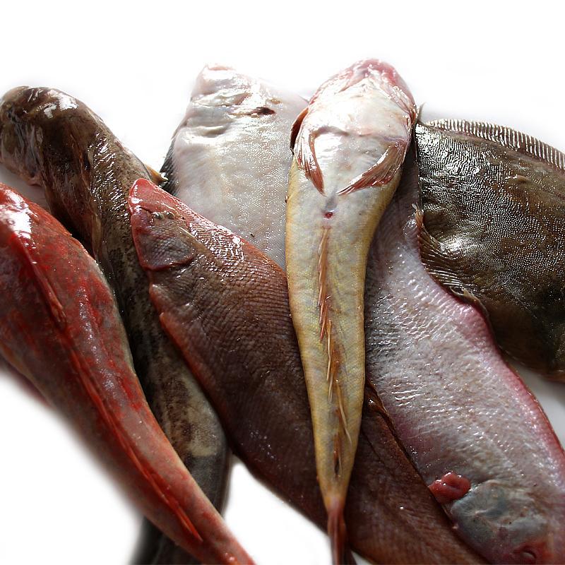 生鲜>海鲜水产>鱼类>湛航>湛航鱼类>