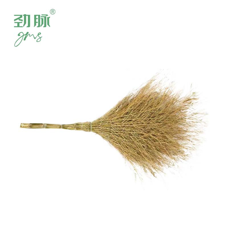 劲脉 户外环卫大扫把扫帚 一体式5斤 把高清大图