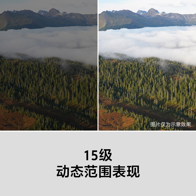 索尼(SONY)Alpha 7R III 单机身全画幅微单相机 7RM3 A7RM3(约4240万有效像素 a7RM3/a7r3/a73)