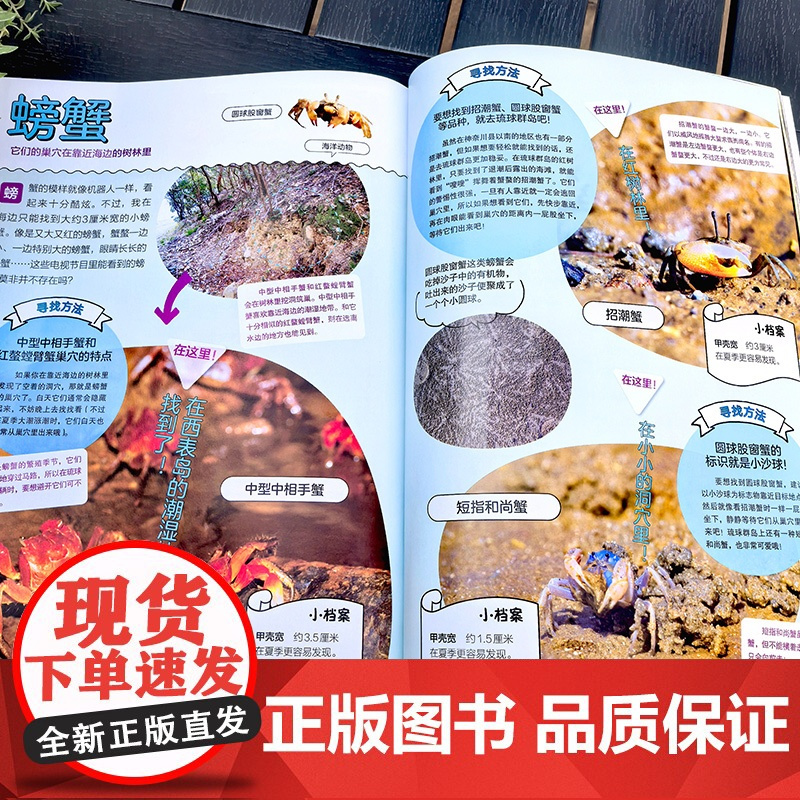 你没想过的小动物系列 去哪里寻找它们 6-12岁小学生四色科普书 小动物宝典 小学生作文写作参考书 爬行萌宠冷门小动物知
