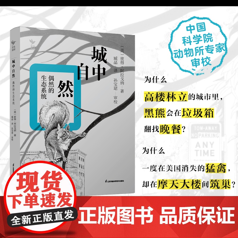 城中自然 偶然的生态系统