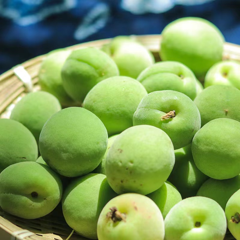 生鲜>水果>更多水果>悦梵>悦梵云南新鲜青梅现摘现发水润酸爽口感清脆