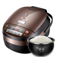 苏泊尔（SUPOR） 电饭煲 CFXB50HC19-120 电饭锅 精铁球釜内胆 IH电磁加热 5 L 微电脑式