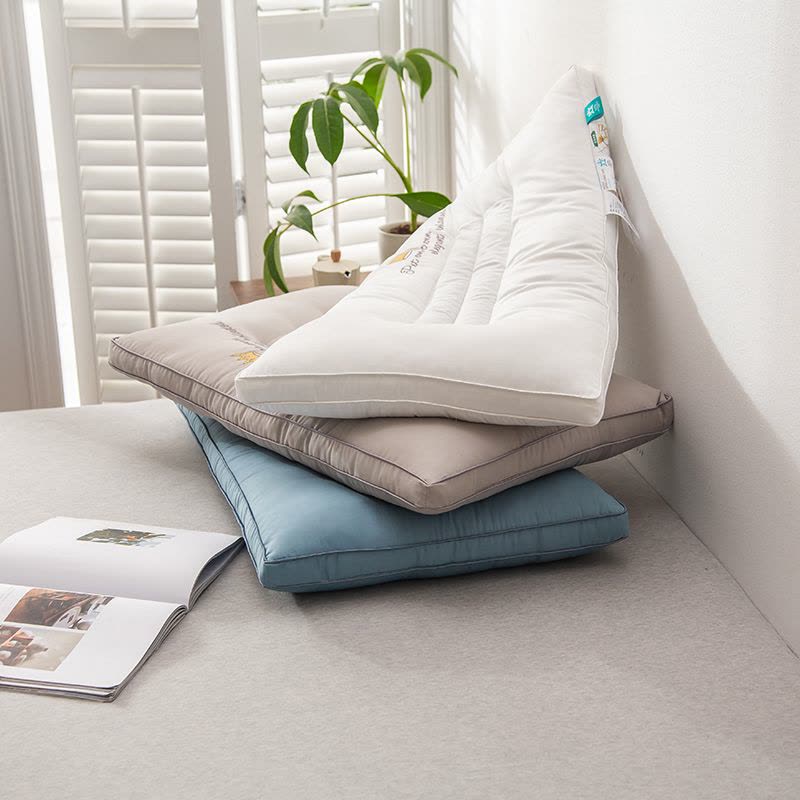 婵思 决明子枕芯48*74CM图片