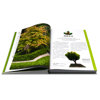 [正版]DK 园艺修剪手册 英国皇家园艺学会 800余种植物的修剪技巧和窍门 园艺修剪工具书 园艺爱好者 花园打造 园