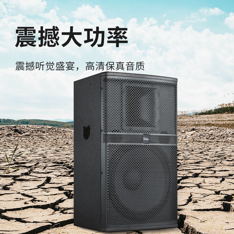 润普Runpu会议音频扩声系统专业双15英寸会议音箱无源音响礼堂会议室扩声音响设备RP-SY-XYC15高清大图