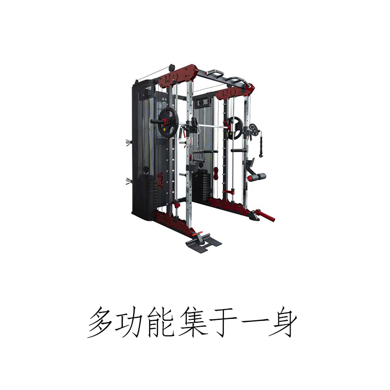 迈特森史密斯机(轻商用)GM6106高清大图