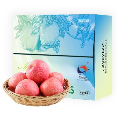 洛川苹果6枚中果