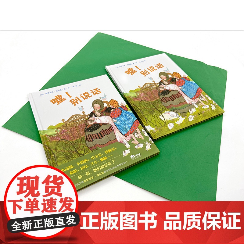 嘘!别说话 魔法象·图画书王国 派翠西亚·波拉蔻 著 亲子睡前共读读物故事图画书 广西师范大学出版社高清大图