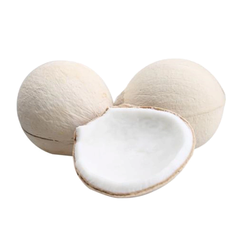 [西沛生鲜]海南牛奶椰皇 2个装中果 单果500-750g 新鲜椰子 当季热带水果 汁水充沛高清大图