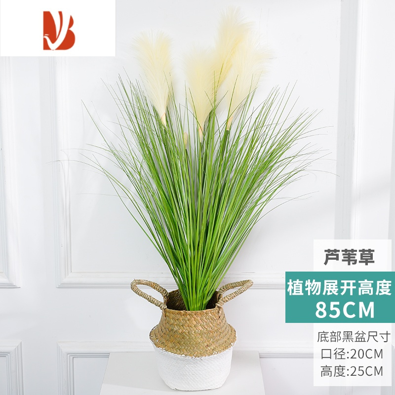 三维工匠装饰摆件三维工匠仿真芦苇草假草盆栽北欧植物装饰盆景摆件ins风家居室内落地绿植85cm芦苇草 白色编织篮仿真植物 价格图片品牌报价 苏宁易购沅福易家居专营店