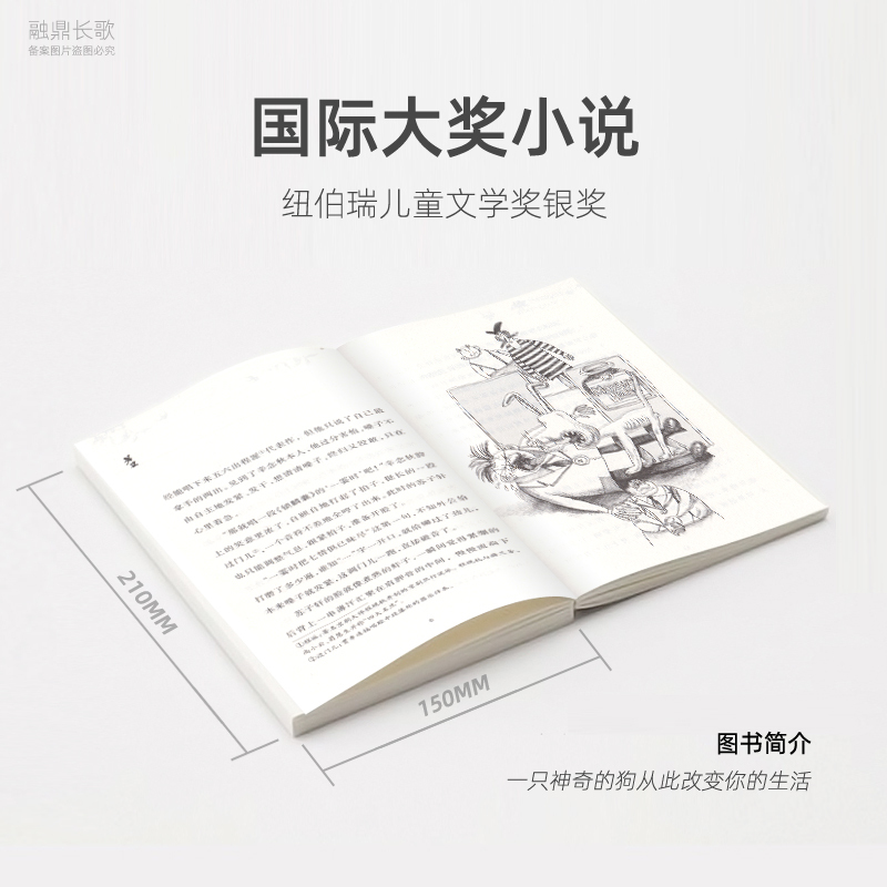 长袜子皮皮 [正版]傻狗温迪克三年级 祖庆说百班千人暑假读物 傻狗温迪克书 小学生课外书阅读书籍 新蕾出版社KQ36