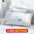 枕套枕头套单人学生宿舍48x74枕芯套一对装春夏秋冬季 林荫路下 48cmX74cm