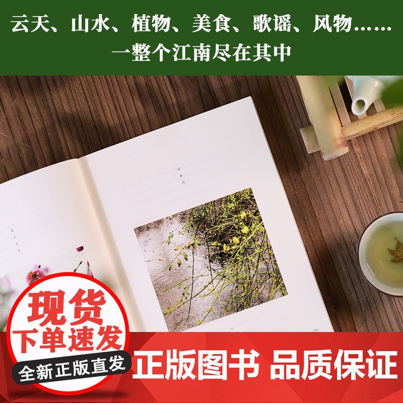 [正版]在江南遇见二十四节气 沈卫林著(多彩唯美照片,写实还原江南水乡的节俗与日常,普及气候农时民俗地理知识)高清大图