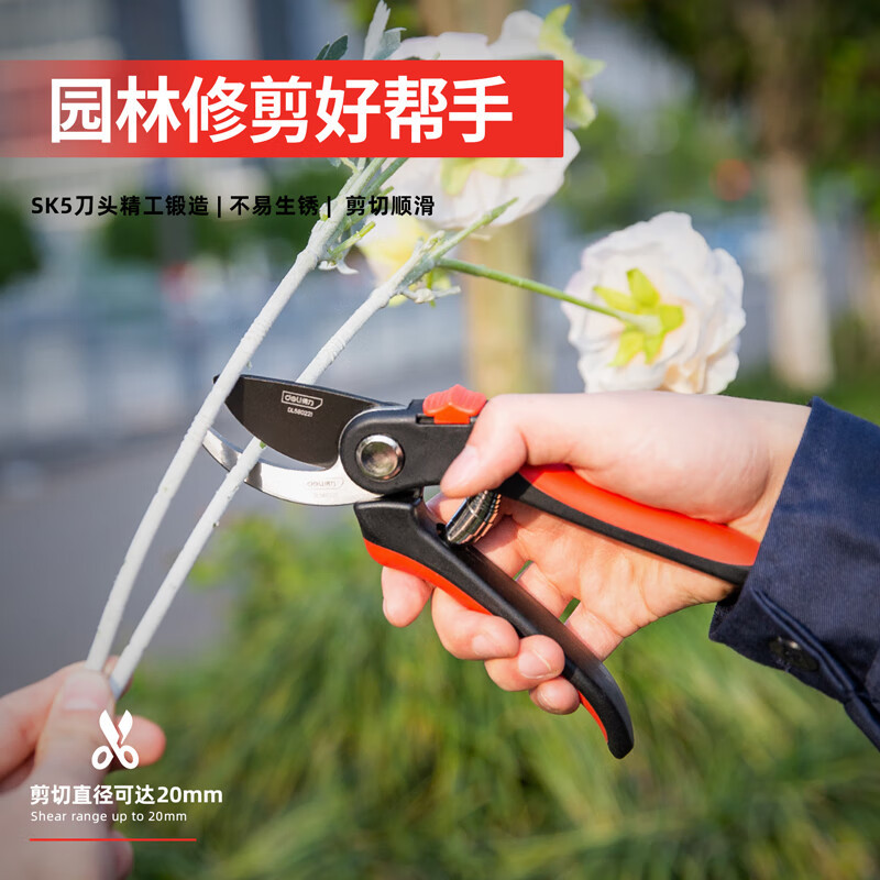 得力(deli)树枝剪 园林剪修枝剪粗枝果枝剪花木剪可剪0-20mm树枝