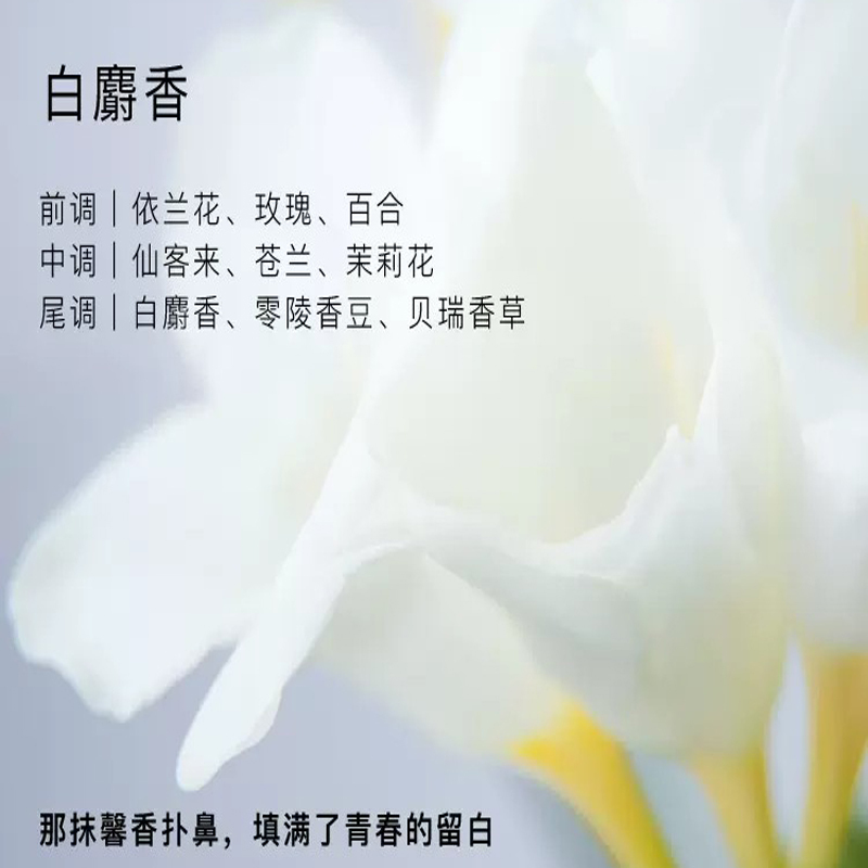 东方宝石 香氛身体霜白香香 300ml高清大图