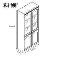 科朔 文件柜两门柜资料柜 办公文件柜 职员书柜 油漆办公柜KSHS48