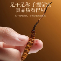 5g(25条)礼盒装冬虫夏草 冬虫夏草正品青海茶干货高档滋补营养送长辈节日礼物礼盒装酒官方旗舰店