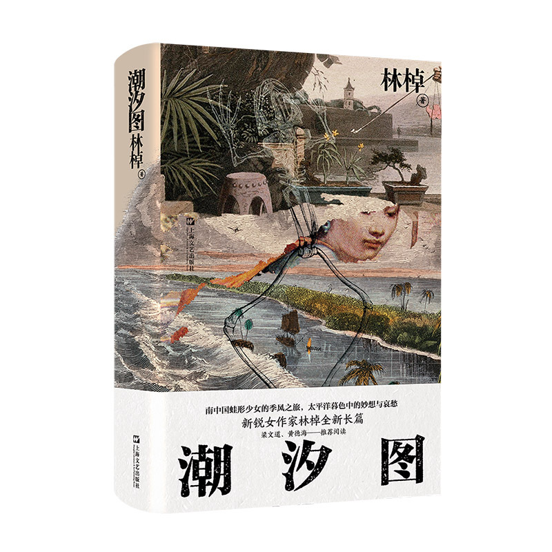 [正版] 潮汐图 林棹豆瓣年度作者 梁文道黄德海力荐 当代文学精装 上海文艺出版社长篇小说 另著流溪 小说散文书籍