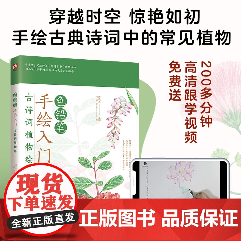 色铅笔手绘入门 古诗词植物绘