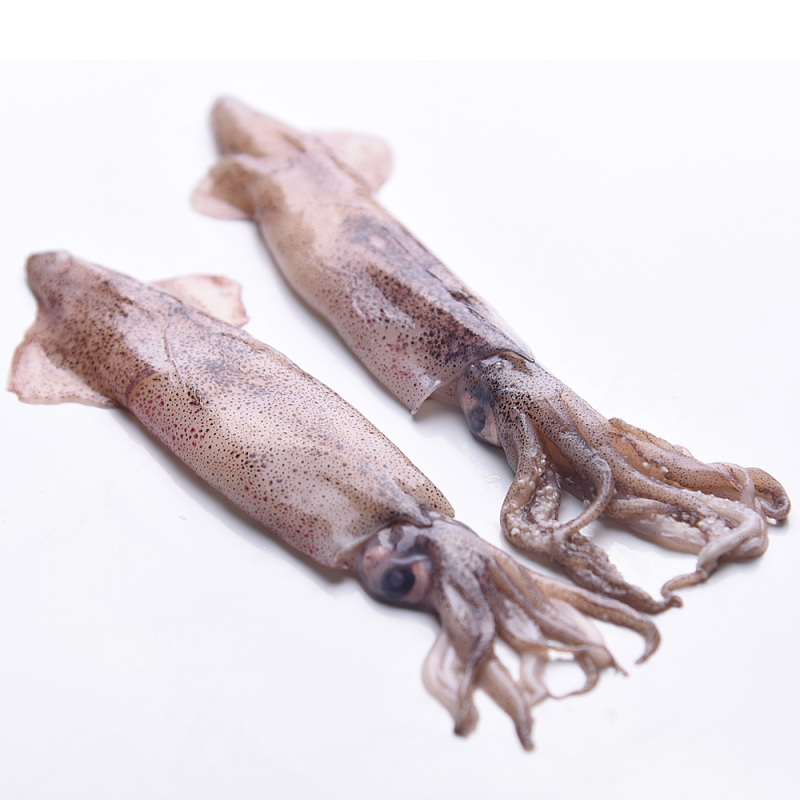 国联(GUOLIAN) 笔管鱿鱼250g