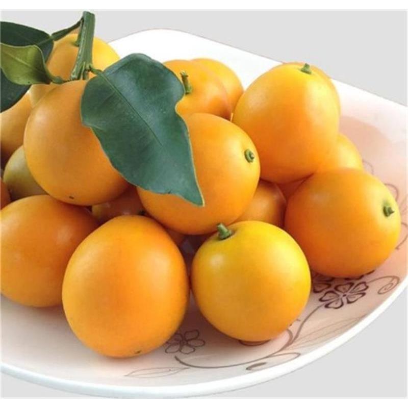 广西冰糖香妃柚脆皮迷你青柚滑皮金桔15kg