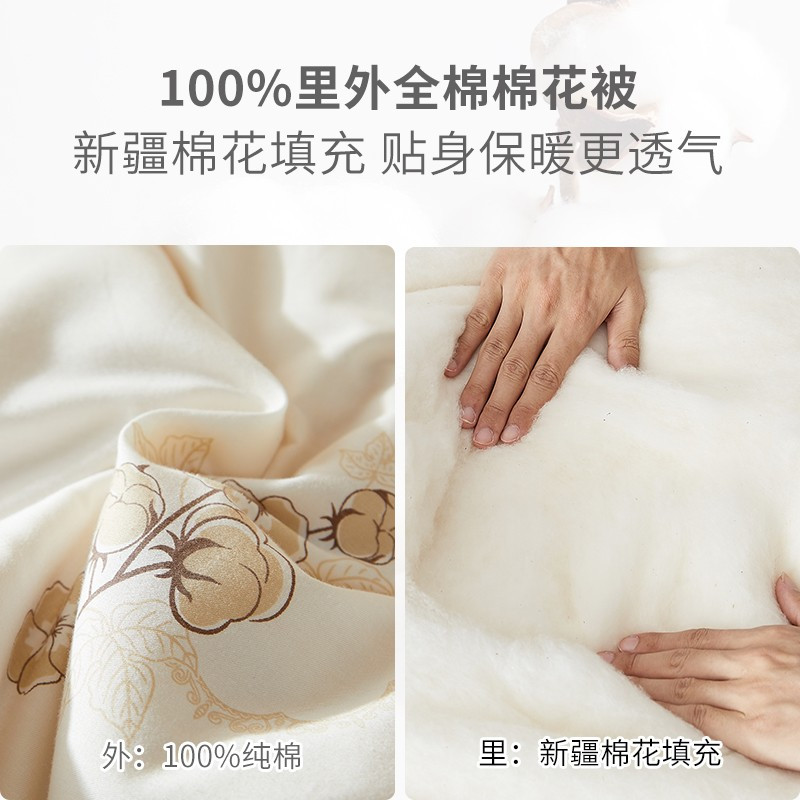 aurora 棉花被8斤 全棉加厚秋冬被棉被 冬季被子被芯 200*230cm
