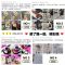 新品狗狗牵引绳宠物狗狗用品狗绳狗链子大型犬狗绳子遛狗绳猫咪牵 蓝色(3米) 单个牵引绳