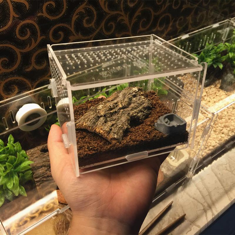 爬虫饲养盒宠物箱透明亚克力蜘蛛蜥蜴蜗牛螳螂蟋蟀乌龟造景箱>800_800
