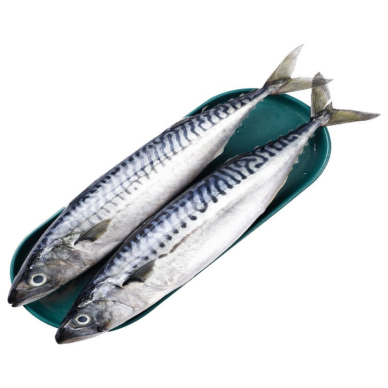 冰鲜青占鱼商品评价您没有填写评价内容