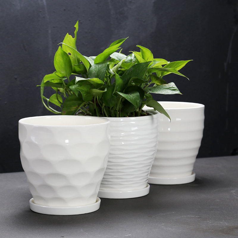 简约白色陶瓷花盆批带托盘室内地面创意特大号绿萝花盆清仓