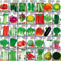 蔬菜种子四季播种阳台农家盆栽香菜菠菜生菜韭菜小葱草莓籽孑大四