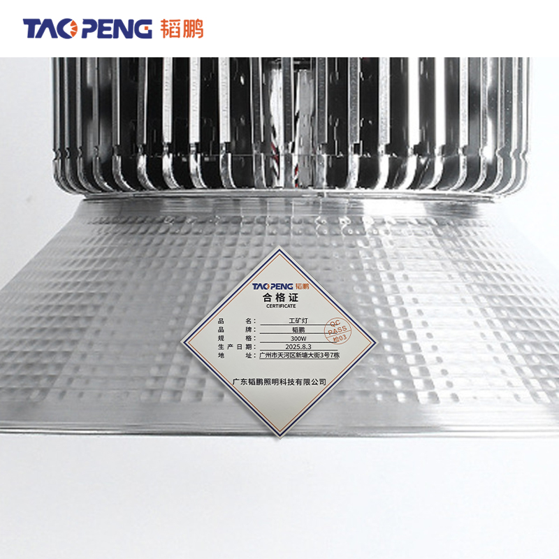 韬鹏 工矿灯 300W 个高清大图