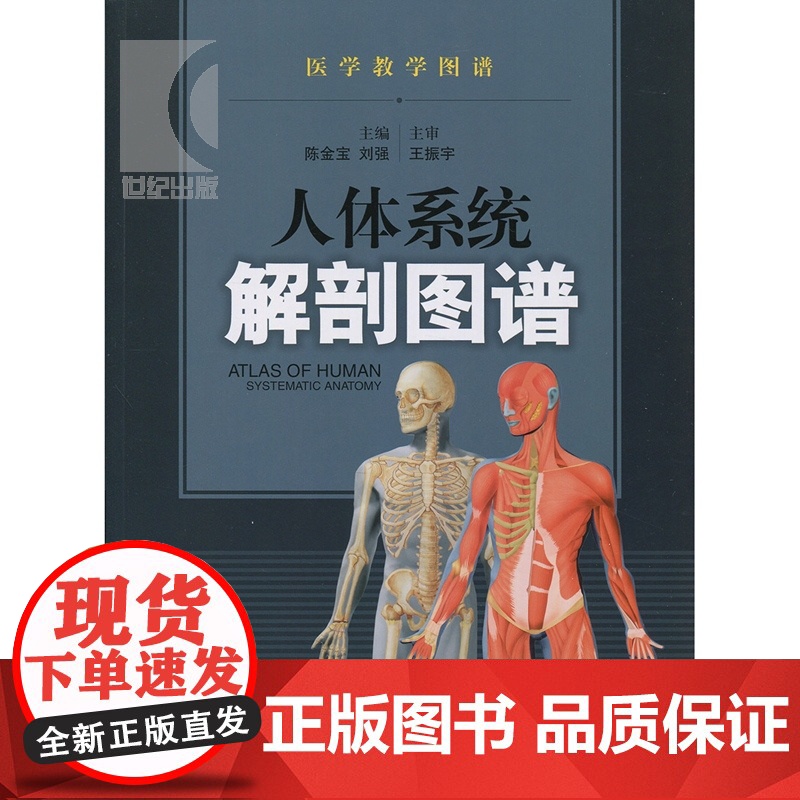 人体系统解剖图谱/医学教学图谱 陈金宝 了解和掌握正常人体结构提供参考与指导 医学类工具书 医药卫生 上海科技 世纪出版高清大图