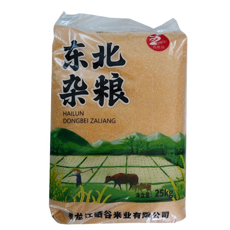 五色谷玉米碴子图片