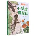 小壁虎借尾巴(1-2年级注音彩绘版)/我们爱科学中小学科普分级阅读书系