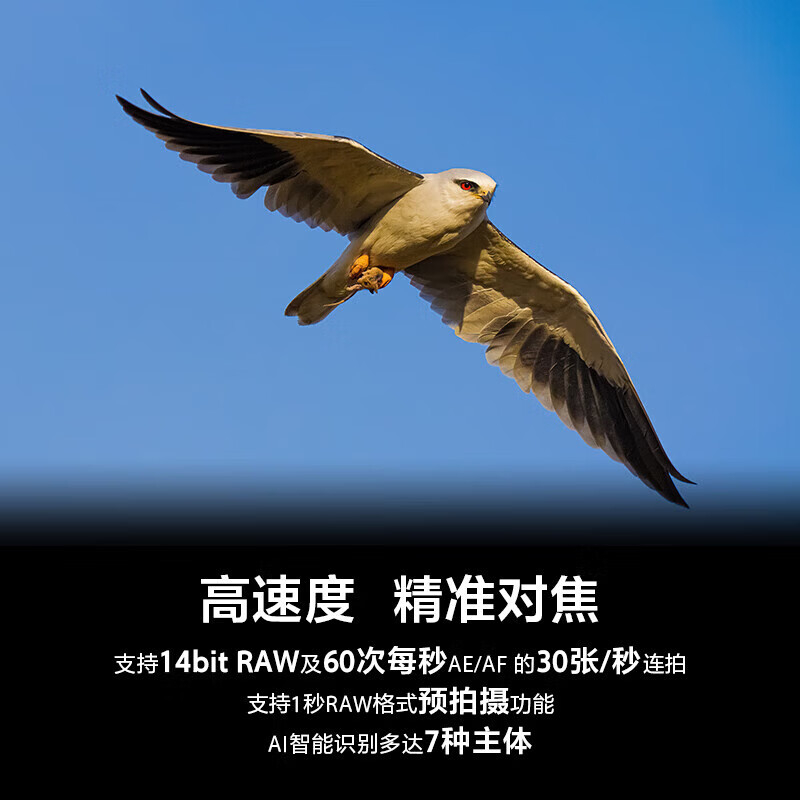 索尼(SONY)A7M5全画幅微单相机 约30张/秒高速连拍A7M5 加FE 20-70mmF4G 带卡包脚架高清大图