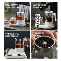 苏泊尔(SUPOR)煮茶器煮茶壶套装 蒸汽喷淋式蒸茶壶养生壶电水壶热水壶烧水壶茶具黑茶0.8升SW-08C10