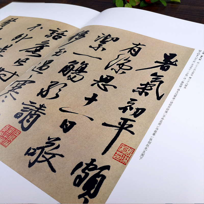 [正版]明代名家祝允明沈周高启沈度书信尺牍手札57帖 中国法书小品集萃明1 高清原碑帖+近距离临摹 楷书草书行书毛笔书高清大图