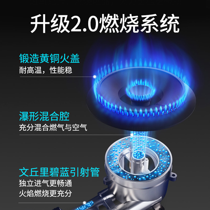 帅康(sacon)71G燃气灶双灶台式嵌入式煤气灶4.8kW大火力家用猛火不锈钢以旧换新打火灶炉具炉灶单灶煤气炉液化气