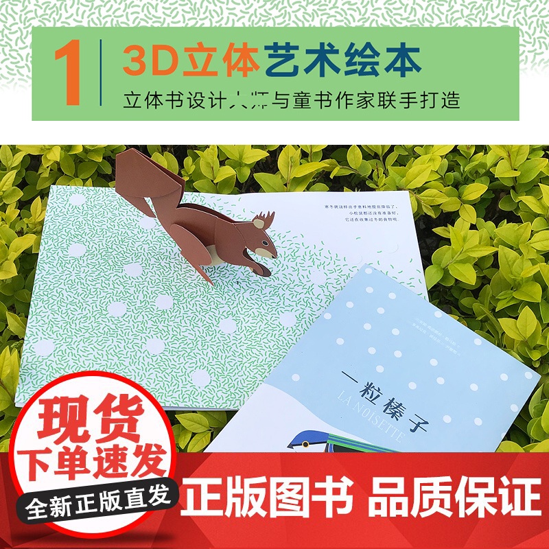 一粒榛子儿童艺术绘本 精致立体书 大自然纸上科普书籍正版 法国安妮-弗洛朗丝·勒马松 3D立体艺术绘本 揭秘大自然科普绘高清大图