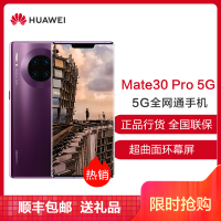 华为 (HUAWEI ) Mate 30 Pro 5G 全网通版 8G+256GB 罗兰紫 麒麟990旗舰芯片4000万徕卡四摄超感光徕卡影像 移动联通电信5G全网通手机