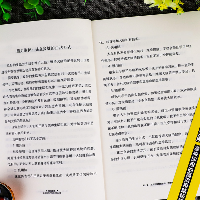 [正版]脑力赋能 大脑记忆法 记忆训练宝典 提高记忆力书籍提高智商训练书思维导图书籍 学生高效学习法高清大图