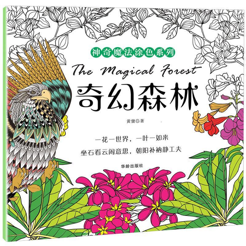 秘密花园 全套6册 6岁以上儿童版成人绘画减压解压涂鸦彩铅图书涂鸦书 手绘填充涂色