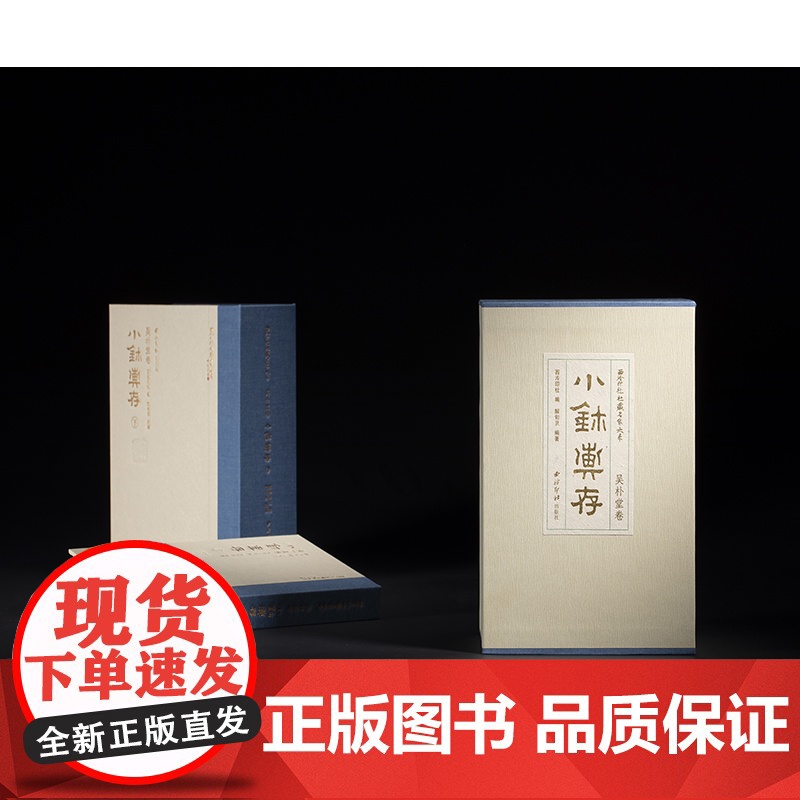 西泠印社社藏名家大系·吴朴堂卷:小玺汇存 全二册 吴朴堂 官印篆写 融汇秦汉玺印之正大与明清流派之精雅 全套二册高清大图