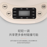 九阳养生壶K15F-WY310
