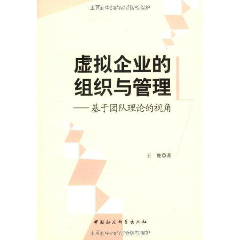 正版新书]虚拟企业的组织与管理:基于团队理论的视角王能著9787高清大图