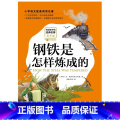 【正版】 钢铁是怎样炼成的 注音版有声版 写给孩子的经典名著 小学生一二三年级课外书籍6-12岁儿童睡前故事书籍 书怎一