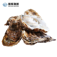 【鲜活到家】wecook味库鲜活乳山生蚝 海蛎烧烤食材 净4斤装190-140g/只