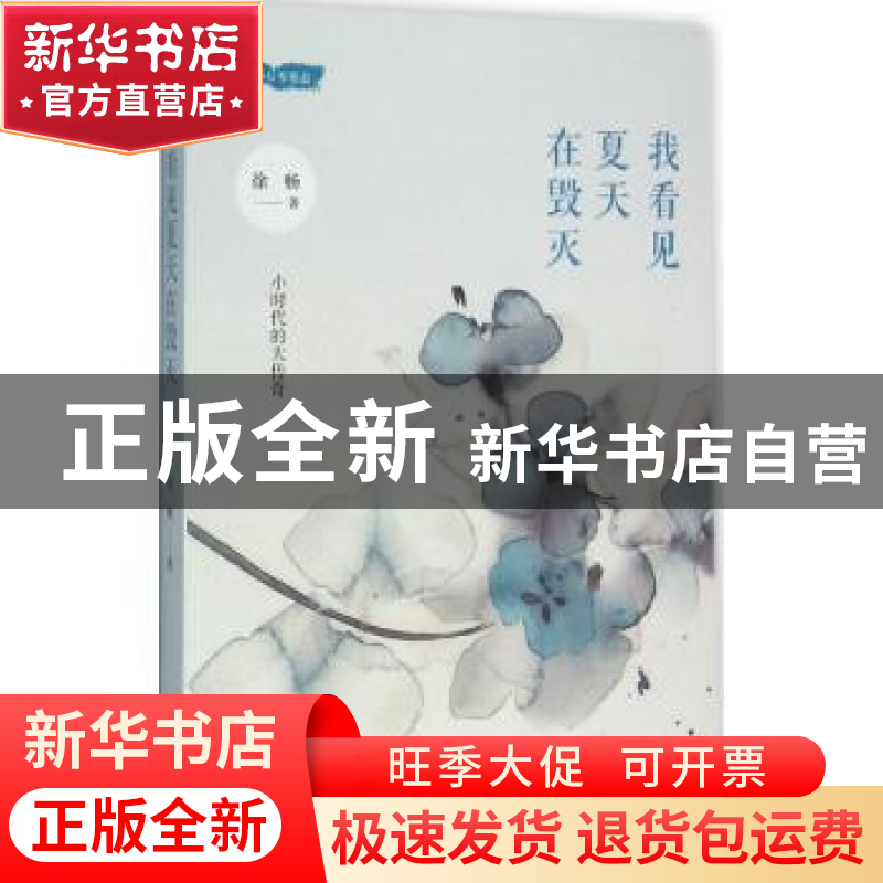 正版 我看见夏天在毁灭 徐畅 著 上海人民出版社 9787208136526高清大图